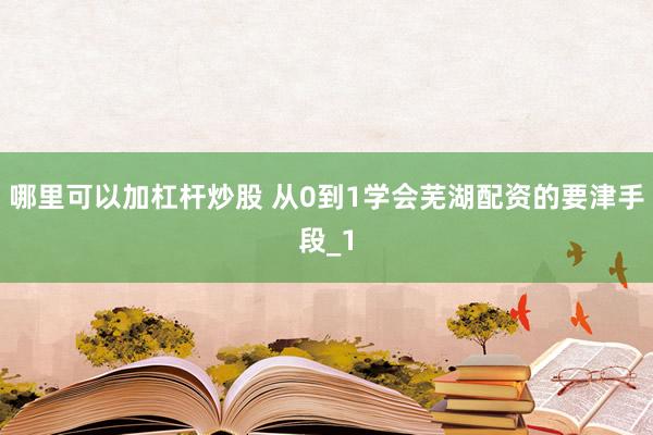 哪里可以加杠杆炒股 从0到1学会芜湖配资的要津手段_1